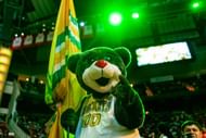 Clutch the Bear. Picture Courtesy/Clutch’s Instagram account